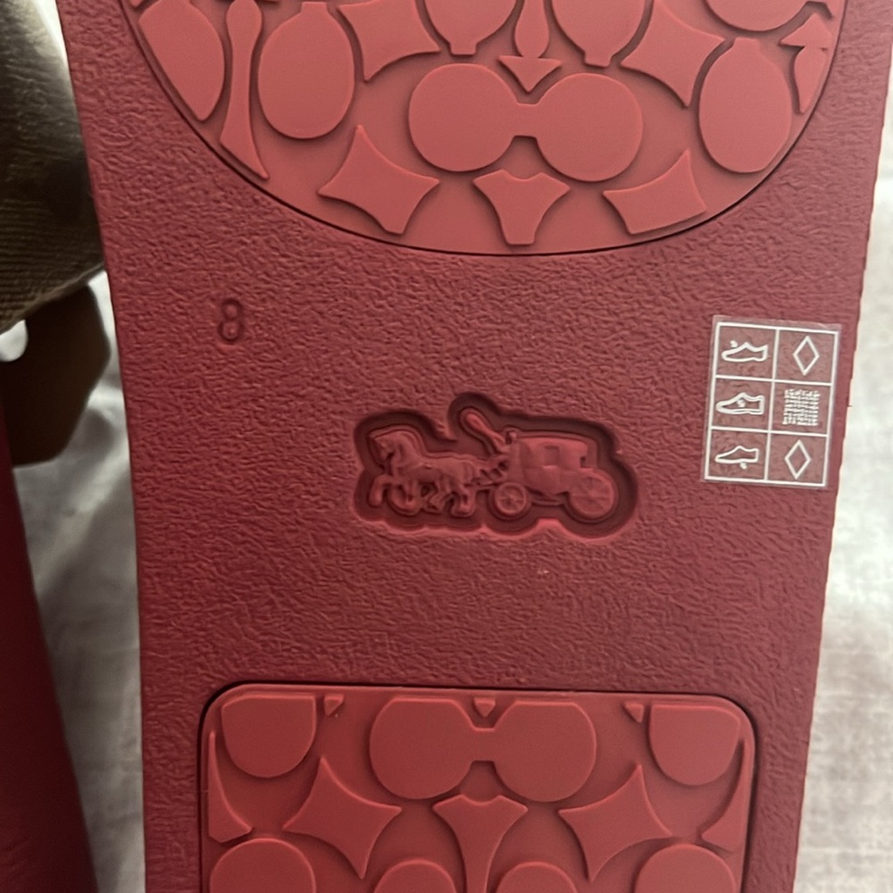 Coach slides - Picture 3 of 4